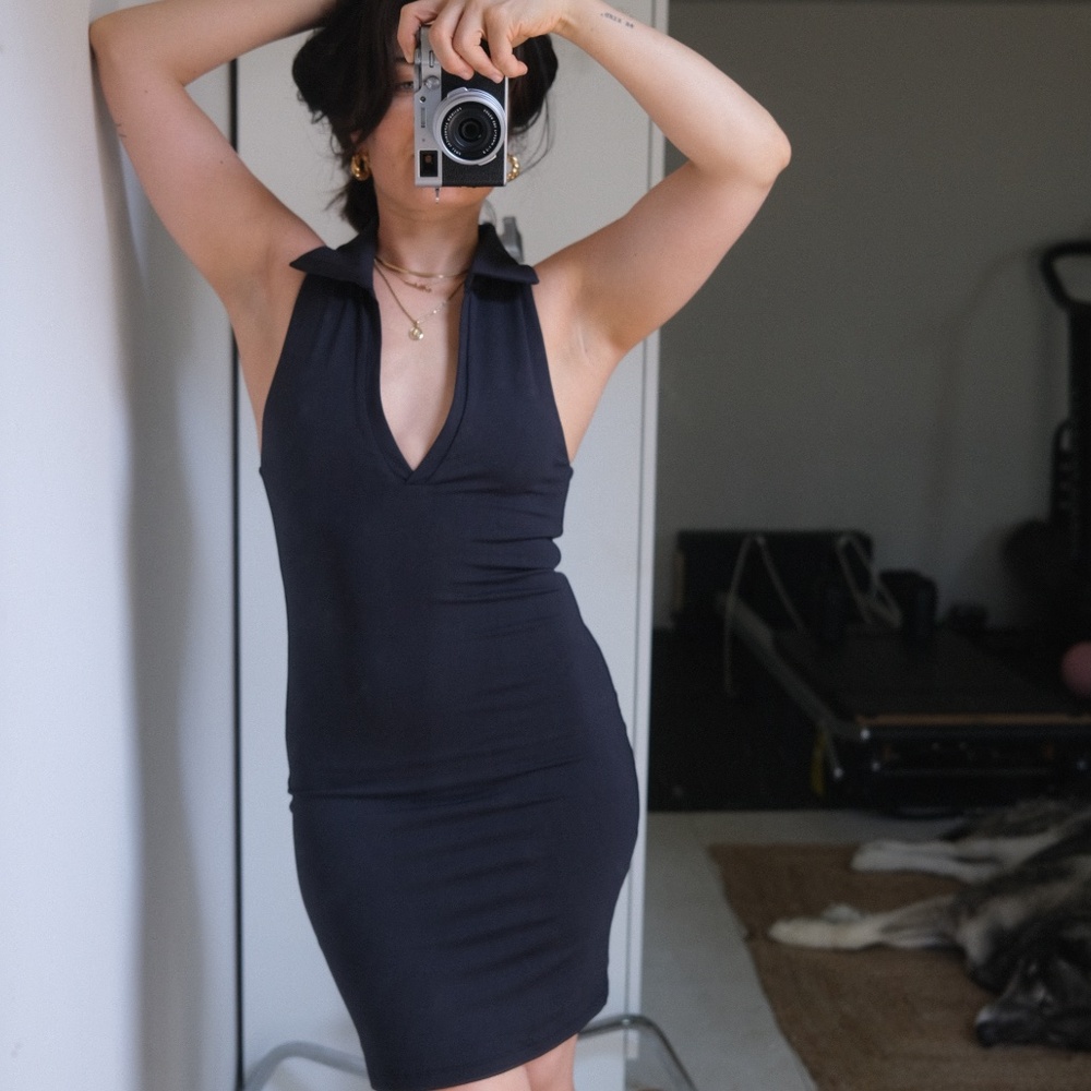 Aritzia Babaton dress